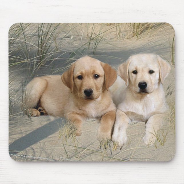 Mousepad för Labrador Retriever valpar Musmatta (Framsidan)