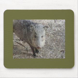 Mousepad för P1010073 Javelina Musmatta
