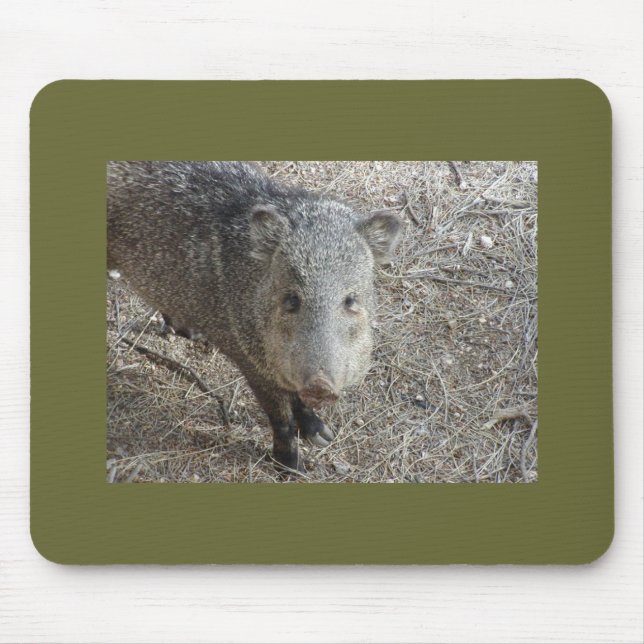 Mousepad för P1010073 Javelina Musmatta (Framsidan)