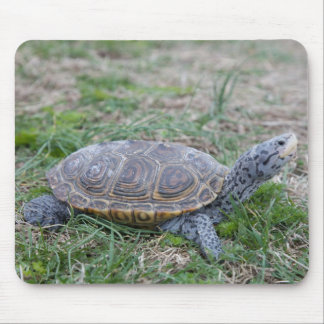 mousepad för sköldpadda för diamondbackterrapin musmatta