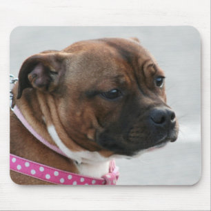 Mousepad för Staffordshire tjurterrier Musmatta
