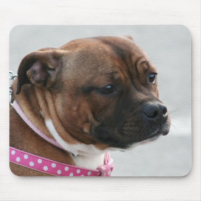 Mousepad för Staffordshire tjurterrier Musmatta (Framsidan)