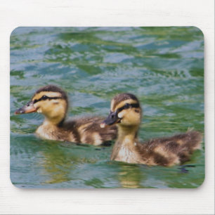 mousepad för två ducklings musmatta