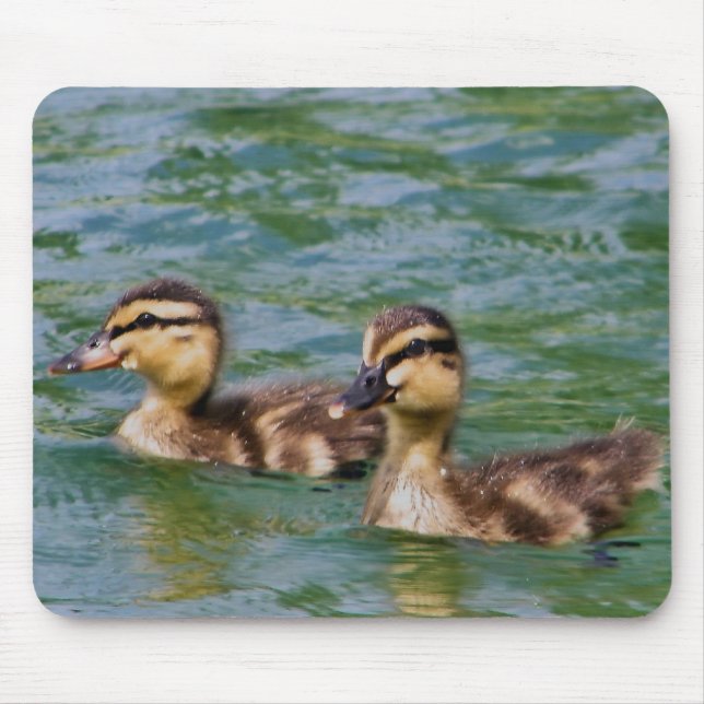 mousepad för två ducklings musmatta (Framsidan)