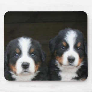 Mousepad för valpar för Bernese berghund Musmatta