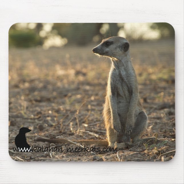 Mousepad för Zaphod 12:efödelsedag Musmatta (Framsidan)