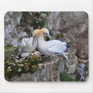 Mousepad: Gannets och blommor Musmatta