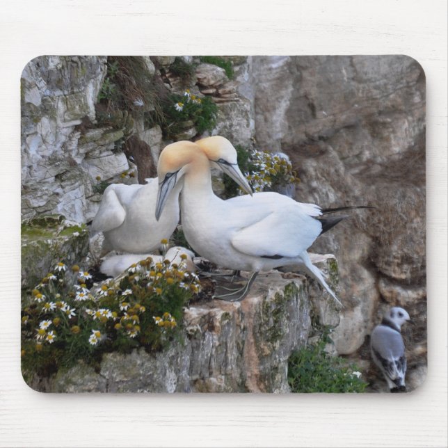Mousepad: Gannets och blommor Musmatta (Framsidan)