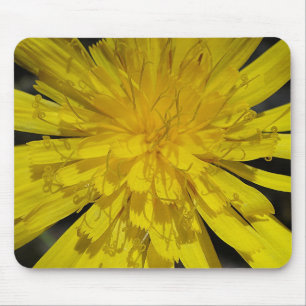 Mousepad gelbes Blütenzentrum Musmatta
