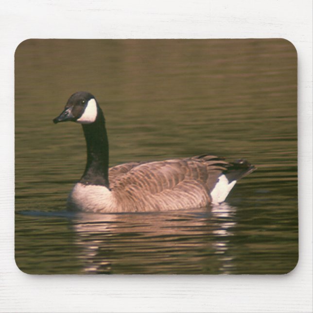 Mousepad - Goose Musmatta (Framsidan)