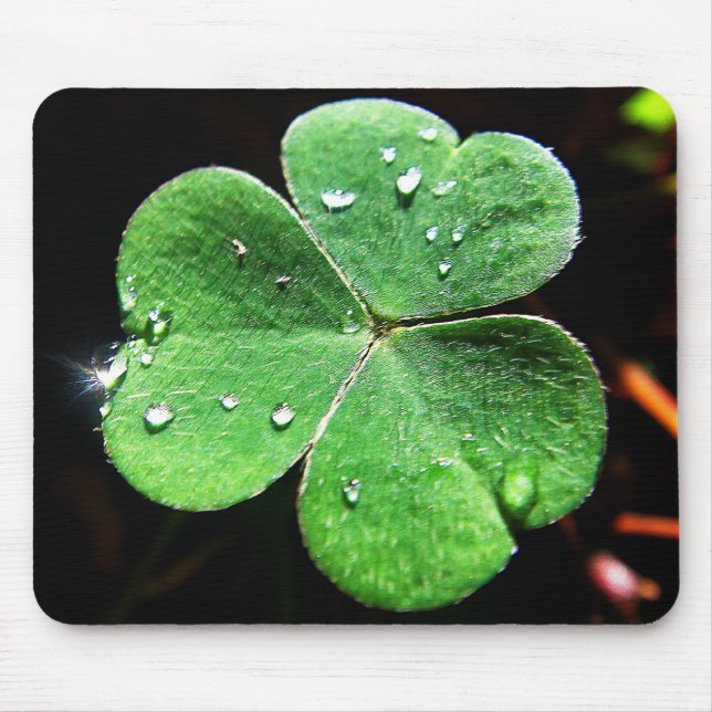 Mousepad grünes Kleeblatt mit Wassertropfen Musmatta (Framsidan)