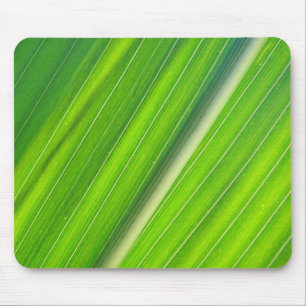 Mousepad hellgrünes Maisblattdesign Musmatta