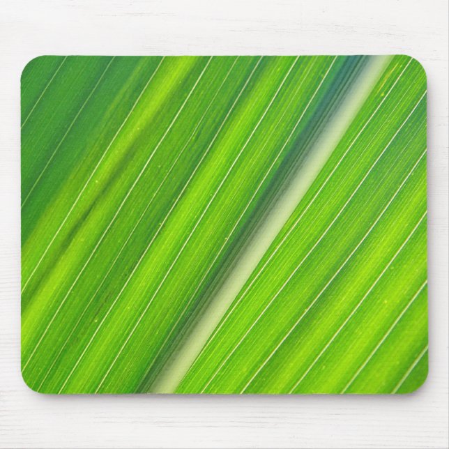 Mousepad hellgrünes Maisblattdesign Musmatta (Framsidan)