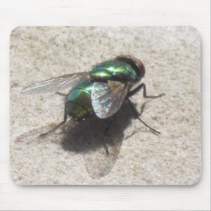 Mousepad - Housefly Musmatta