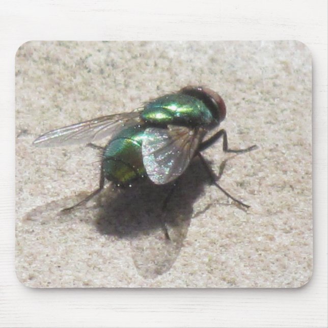 Mousepad - Housefly Musmatta (Framsidan)