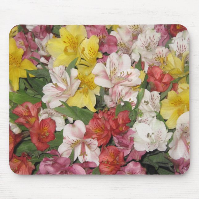 Mousepad i Bloom Musmatta (Framsidan)
