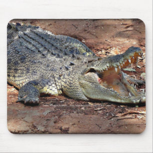 Mousepad - krokodil musmatta