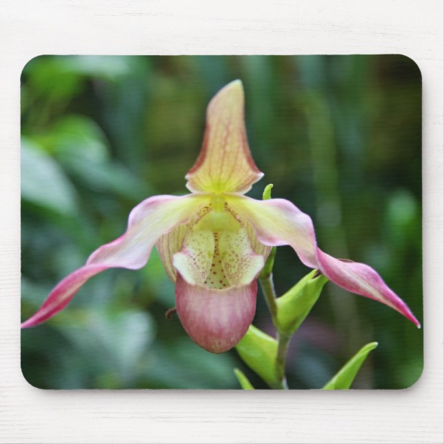 Mousepad - Ladyslipper Musmatta (Framsidan)