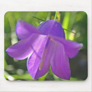 Mousepad lila Glockenblume Musmatta