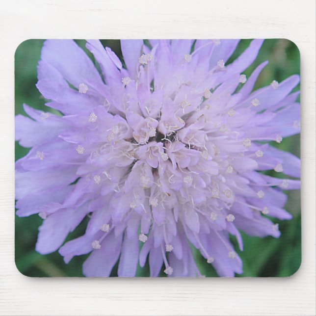 Mousepad lila Scabiosa Musmatta (Framsidan)