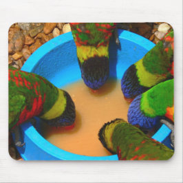 Mousepad, Lorikeets Musmatta