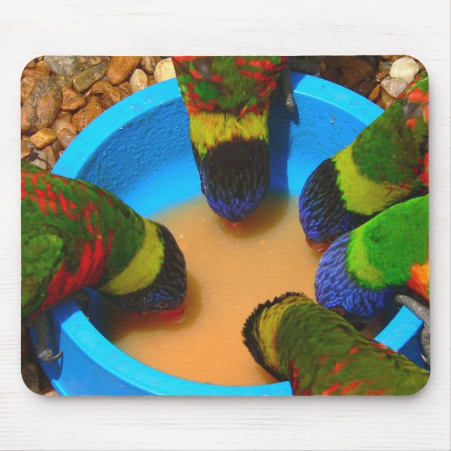 Mousepad, Lorikeets Musmatta (Framsidan)