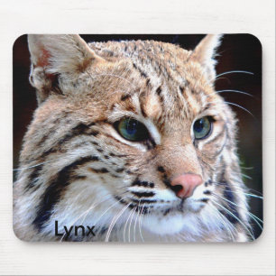 Mousepad, Lynx Up Close Musmatta