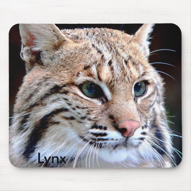 Mousepad, Lynx Up Close Musmatta (Framsidan)
