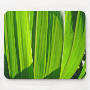 Mousepad Maisblätter Musmatta