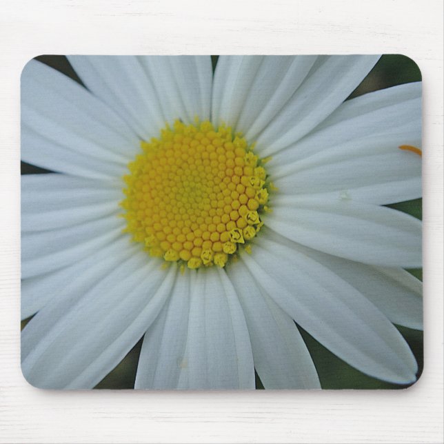 Mousepad Margerite in weiss Musmatta (Framsidan)