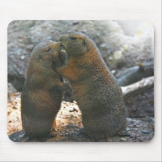 Mousepad med den gulliga marmoten kopplar ihop musmatta