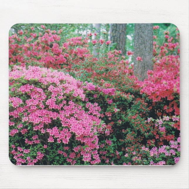 Mousepad med en stråle av Rosa Azaleas Musmatta (Framsidan)