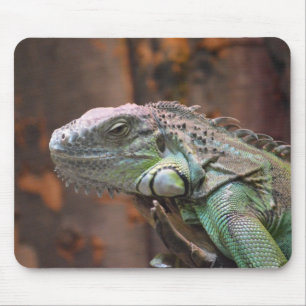 Mousepad med färglös Iguana-ödla Musmatta