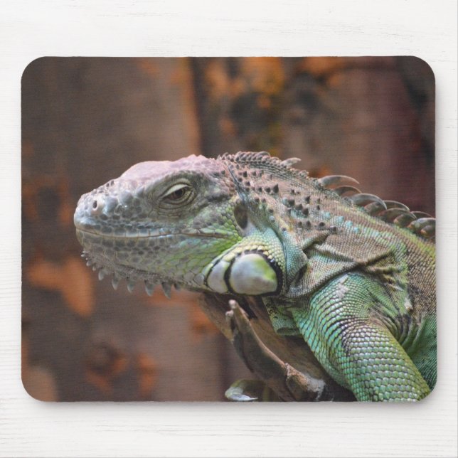 Mousepad med färglös Iguana-ödla Musmatta (Framsidan)