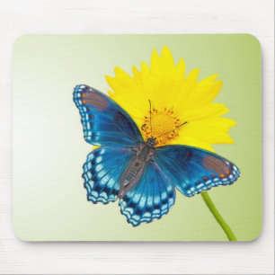 Mousepad med fjäril och blomma musmatta