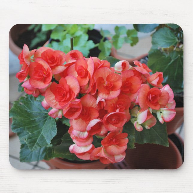 Mousepad med Flowers Musmatta (Framsidan)