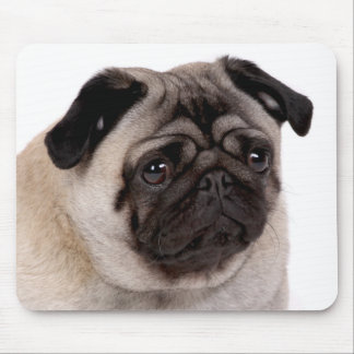 mousepad med mops tystar ned musmatta