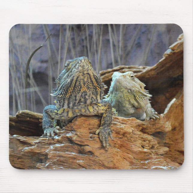 Mousepad med två nyfikna lizards musmatta (Framsidan)