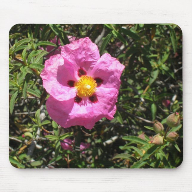 Mousepad - Mexikanska Sten Ro Musmatta (Framsidan)