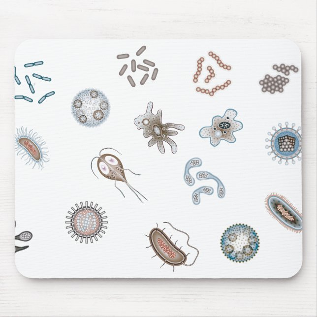 MousePad - microbiologia - Biomedicina Musmatta (Framsidan)