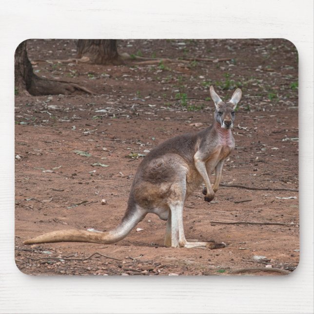 Mousepad Musmatta (Framsidan)