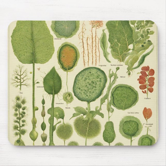 Mousepad Musmatta (Framsidan)