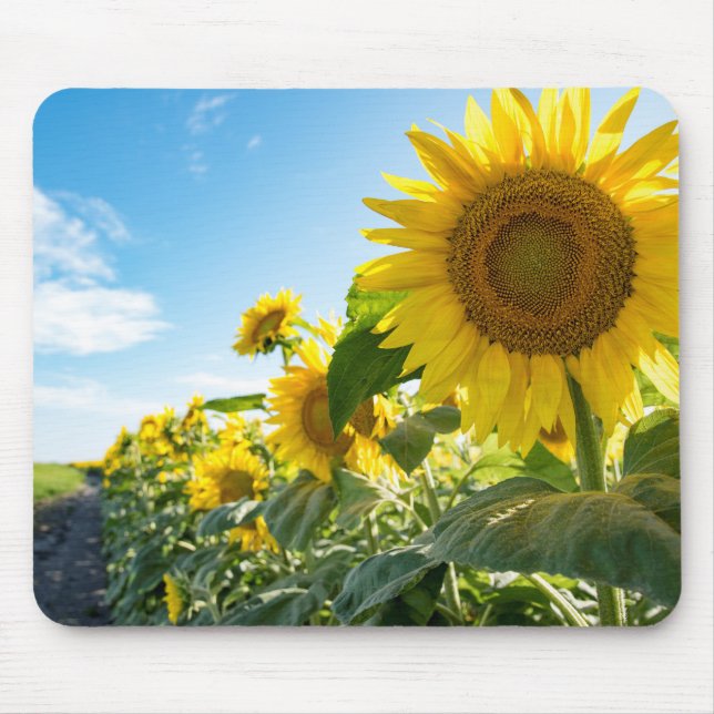 Mousepad Musmatta (Framsidan)