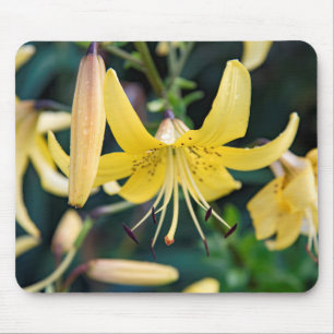 Mousepad Musmatta
