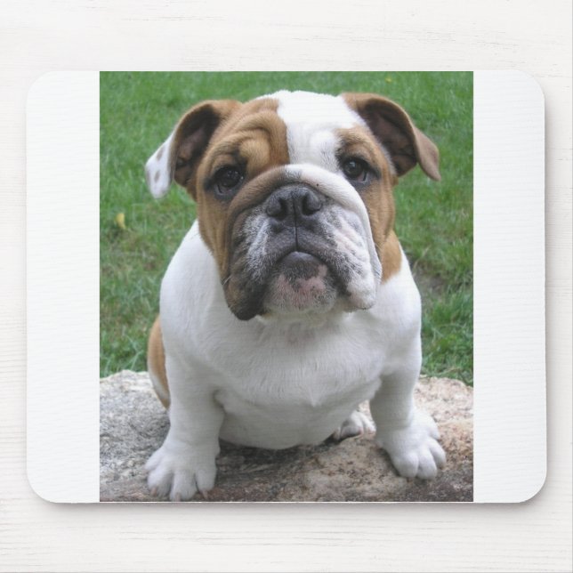 mousepad musmatta (Framsidan)