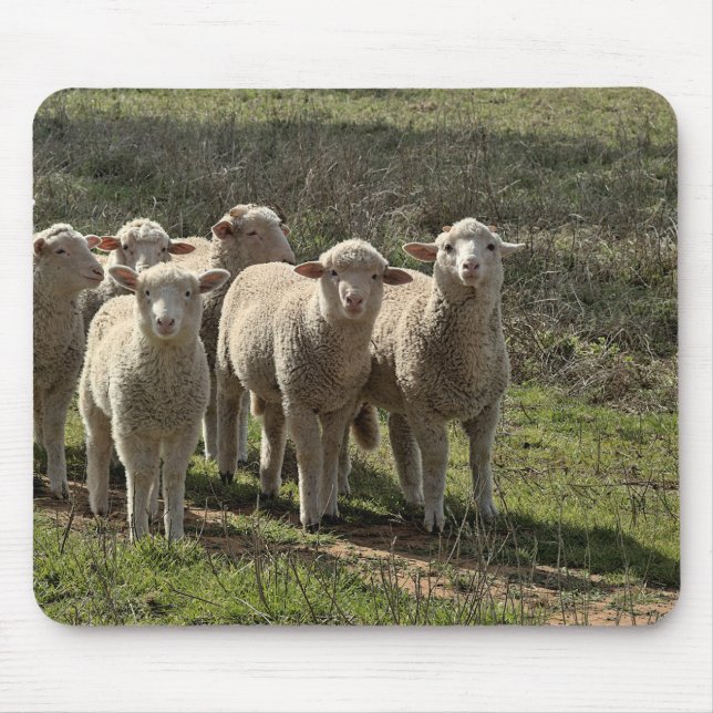 Mousepad Musmatta (Framsidan)