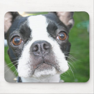 Mousepad Musmatta