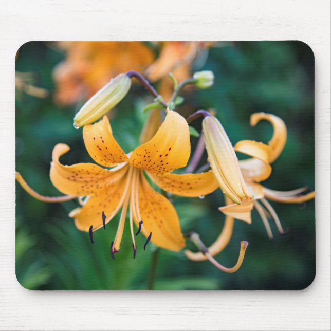 Mousepad Musmatta (Framsidan)