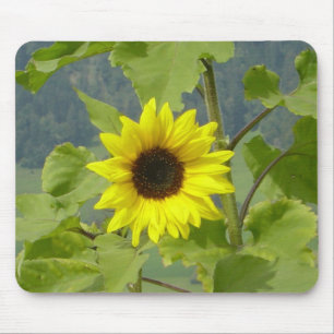 MOUSEPAD MUSMATTA