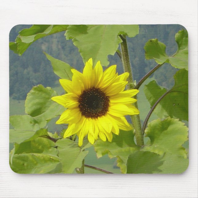 MOUSEPAD MUSMATTA (Framsidan)